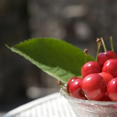 La Casa Dei Nonni Castelbianco Couette-café *