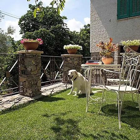 La Casa Dei Nonni Castelbianco * Colletta