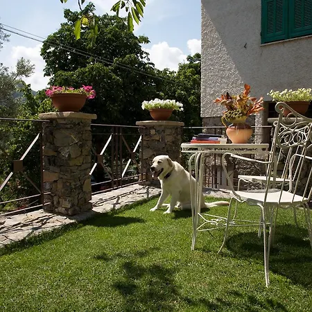 La Casa Dei Nonni Castelbianco *