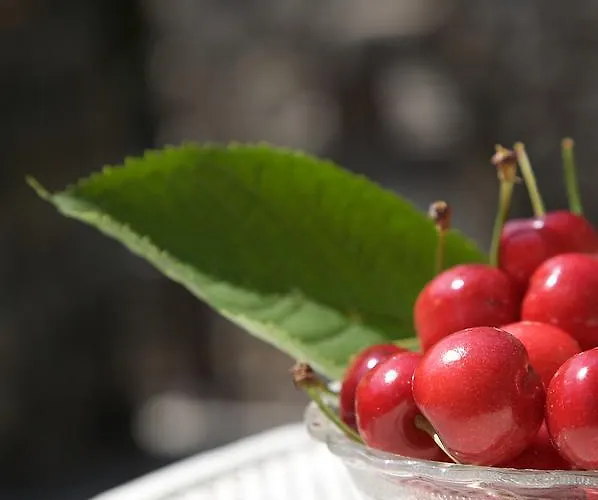 La Casa Dei Nonni Castelbianco Frühstückspension *